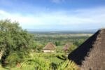 Baboon Safari Resort