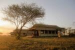 Serengeti Hippo Trails Camp
