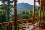 Mahogany Springs Lodge