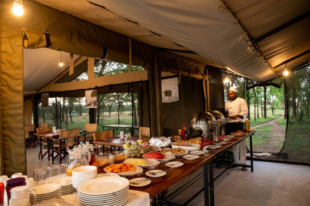 Serengeti Kati Kati Camp