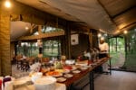 Serengeti Kati Kati Camp