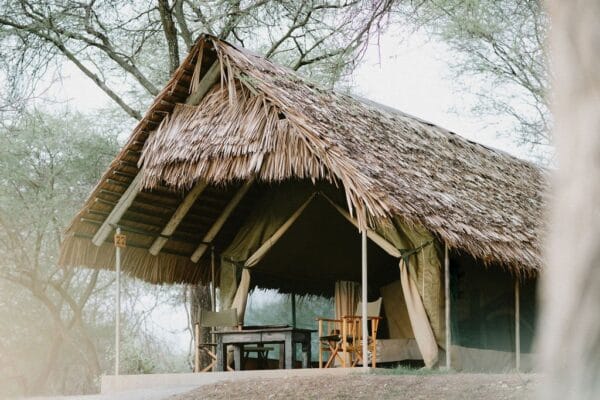 Tarangire Safari Lodge