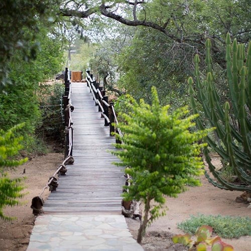 Ku Sungula Safari Lodge