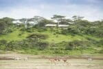 Nyikani Camp North