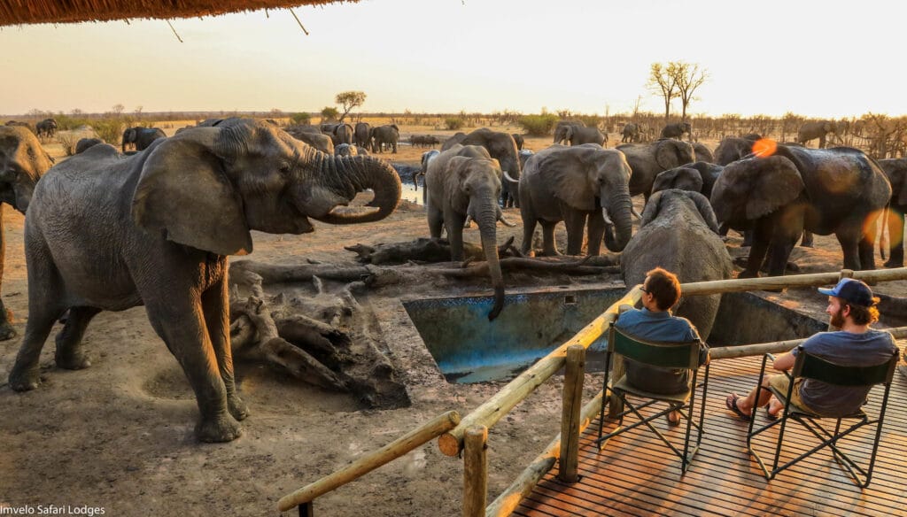 Nehimba Lodge