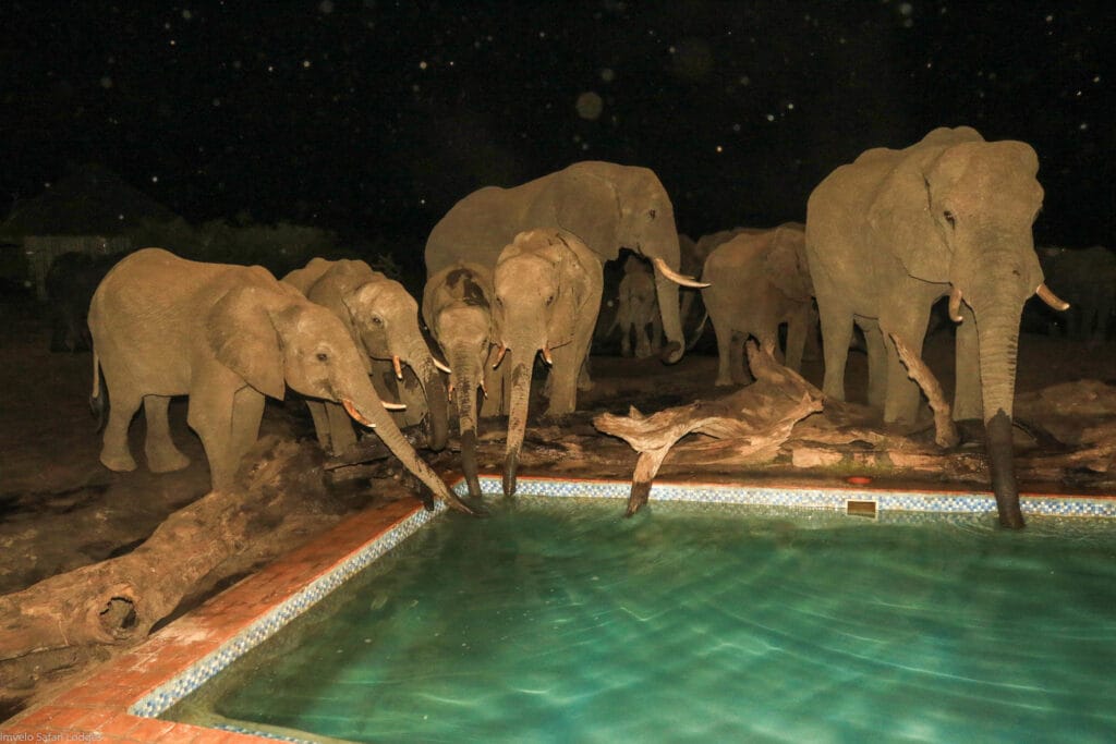 Nehimba Lodge