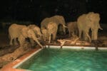 Nehimba Lodge
