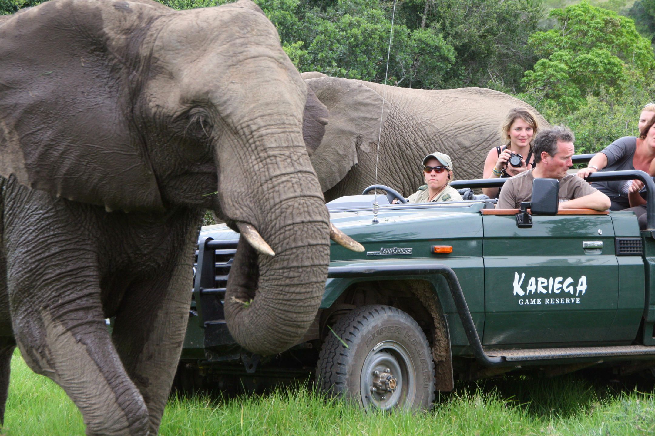 Game Activities Wildlife » Tembo Safari