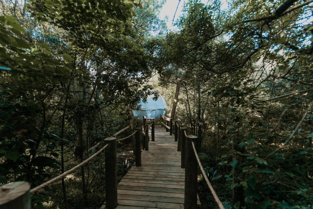 Misty Mountain Reserve