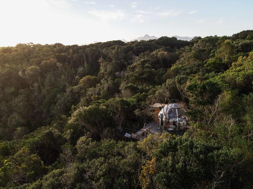 Misty Mountain Reserve