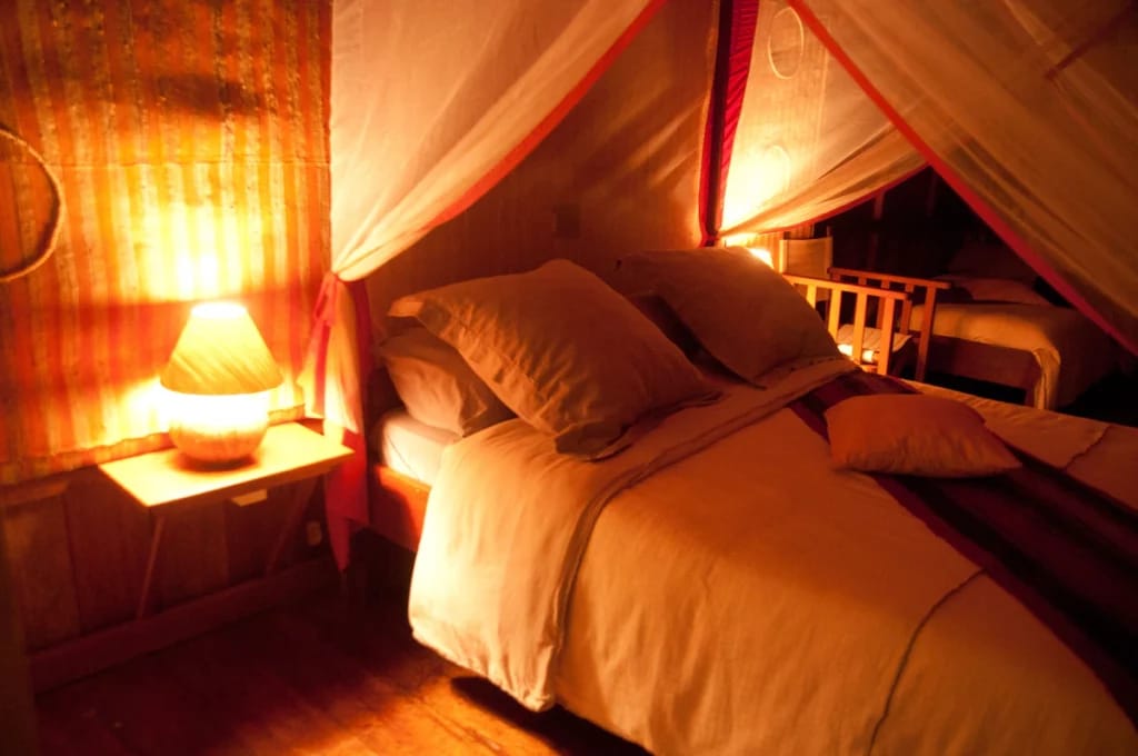 Nature Lodge