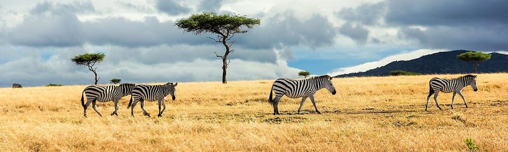 Karen Blixens Afrika