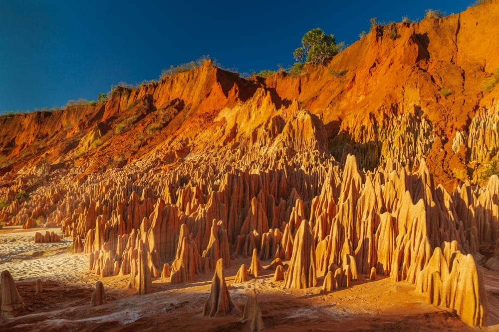 TheAmazingRedTsingyOfAntsirananaOrDiegoSuarezMadagascar » Tembo Safari