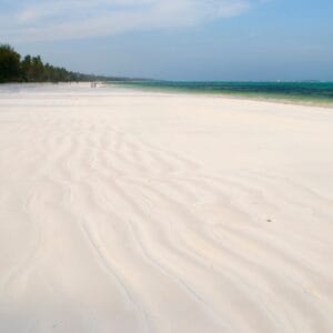 FineWhiteSandAndPalmTreesOnMatemweBeachZanzibar