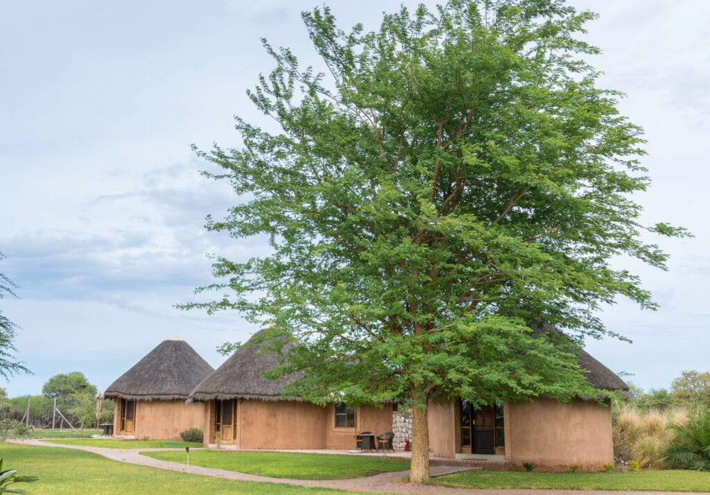 Onguma Bush Camp