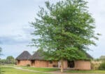 Onguma Bush Camp