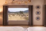 Okonjima Plains Camp