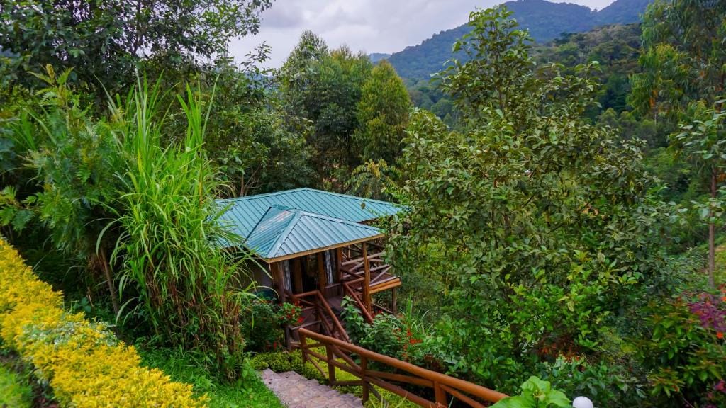 Rushaga Safari Lodge