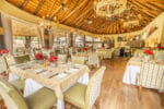 Ivory Tree Game Lodge