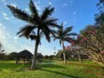 The Elephant Walk Tented Camp