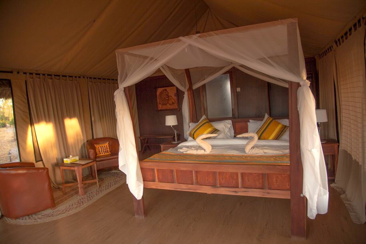 Tarangire simba lodge, Dobbeltseng » Tembo Safari Tarangire simba lodge, Dobbeltseng