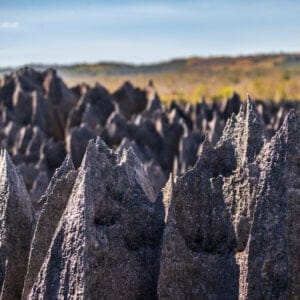 TsingyDeBemarahaStrictNatureReserveInMadagascar
