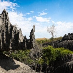 ExploringTheDramaticLimestoneFormationsAndUniqueFloraOfTsingy