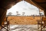 Ndutu Kati Kati Tented Camp