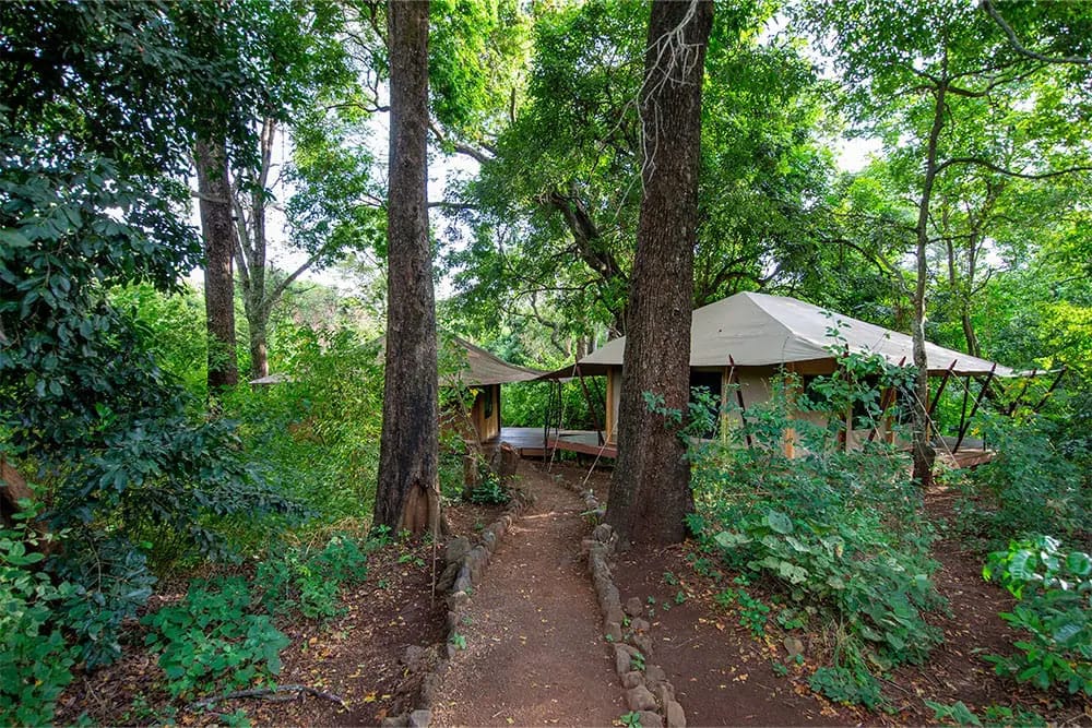 Porini Rhino River Camp