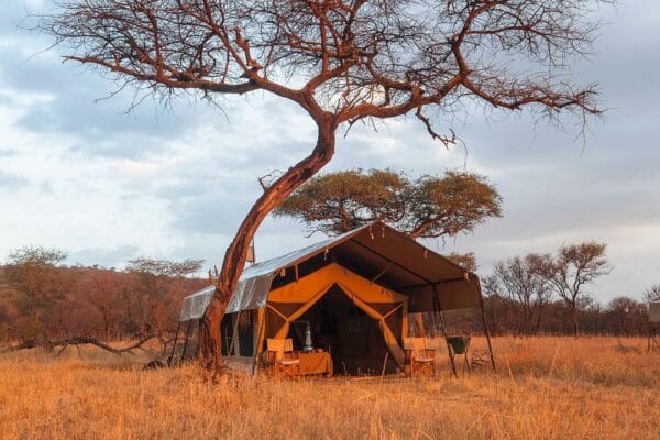 Ndutu Kati Kati Tented Camp
