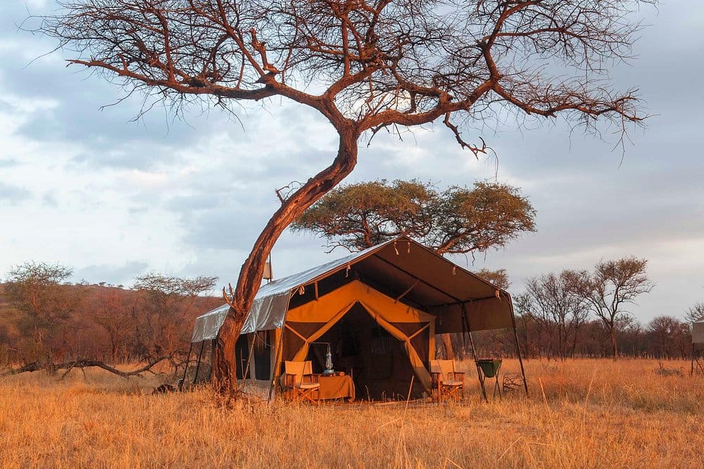 Ndutu Kati Kati Tented Camp