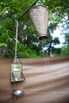 Camping i Okavango Deltaet
