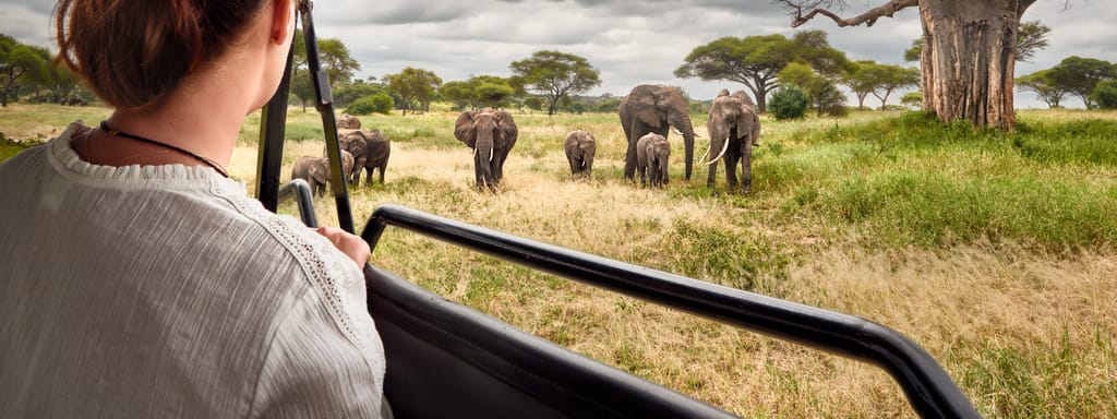 Top Billede Rejsebrev Tanzania og Uganda