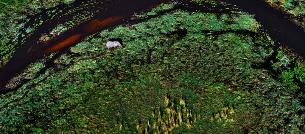 Top Billede Rejseblog Overlevelse i Okavango
