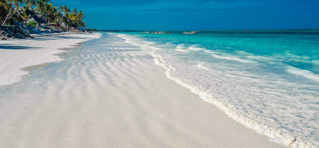 Top Billede Rejsebrev Kenya og Zanzibar