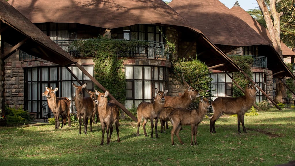 Lake Naivasha Sopa Lodge