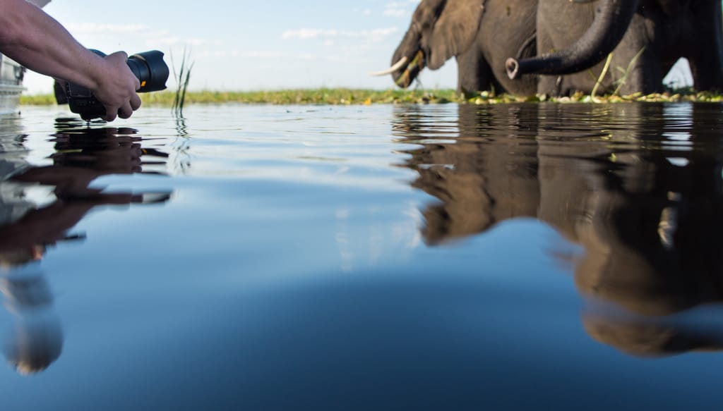 10 fototips til at fange Afrikas vilde skønhed på din næste safarioplevelse