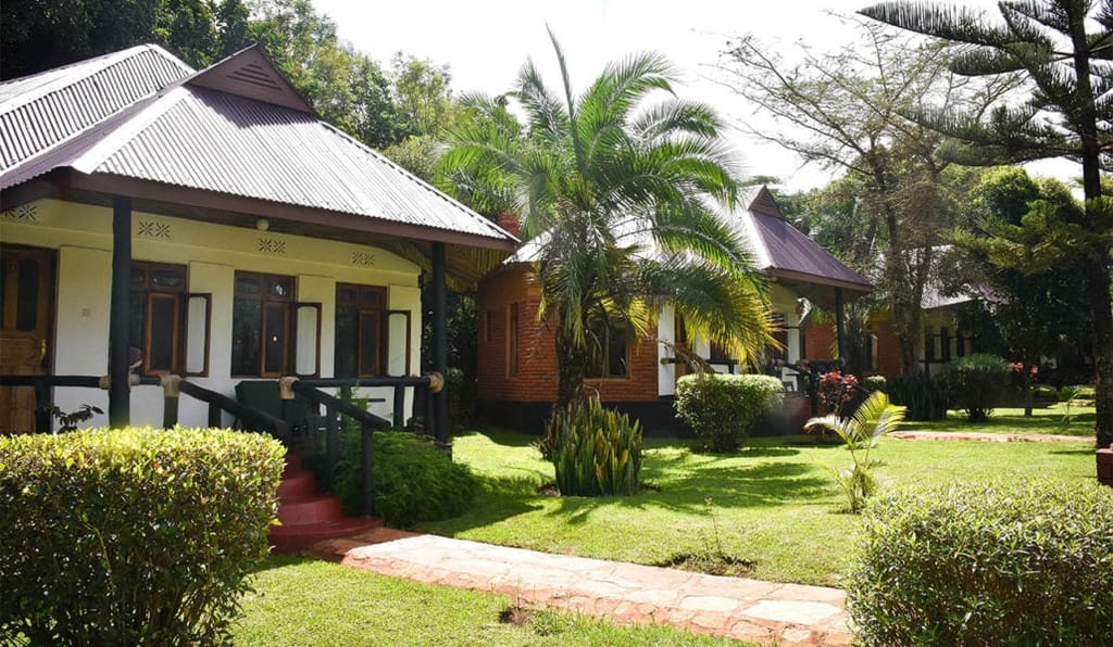 Bourgainvillea Safari Lodge