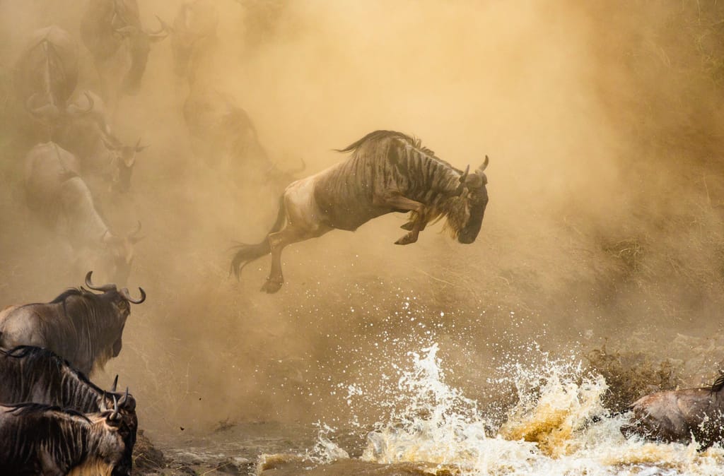 Masai Mara