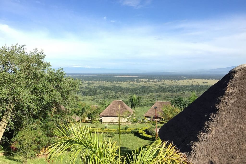 Baboon Safari Resort