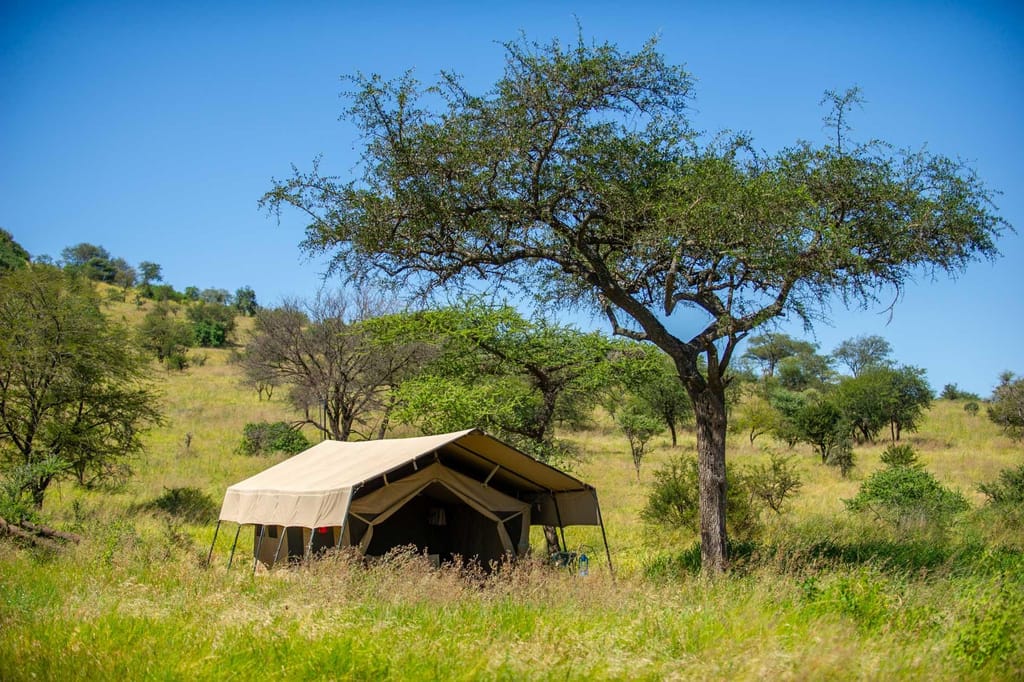 Serengeti Kati Kati Camp