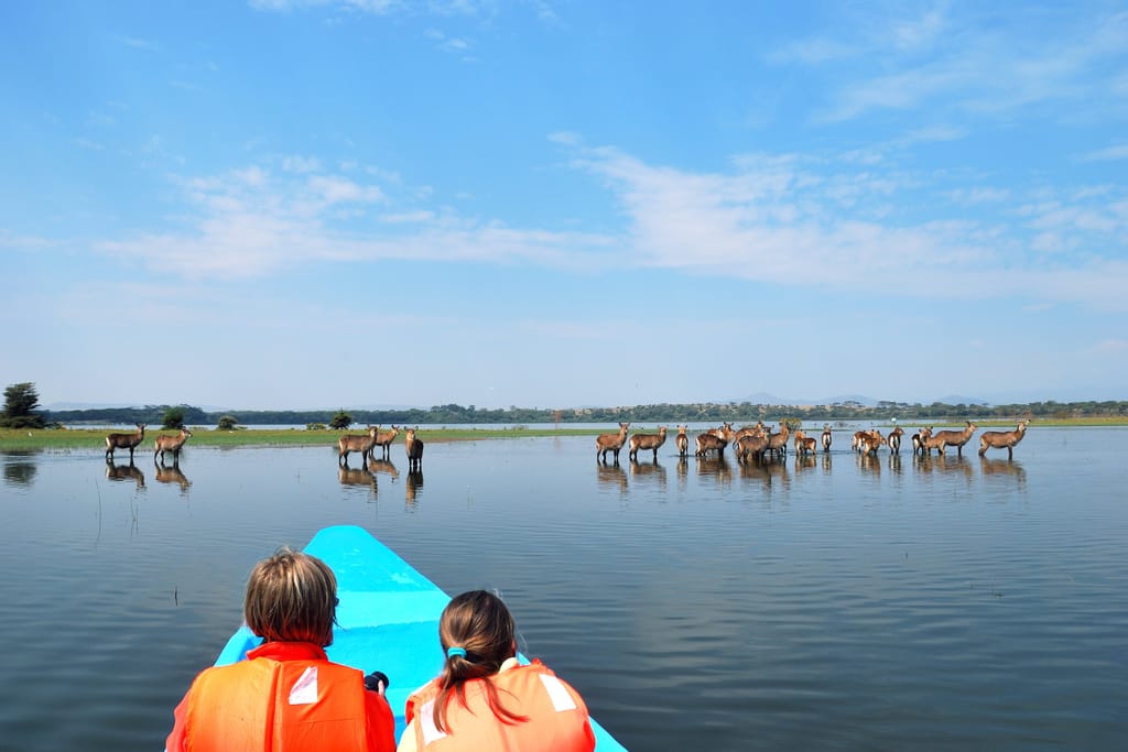 Sejltur på Lake Naivasha