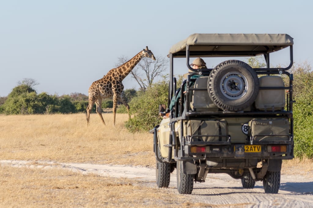 Safaribil i Chobe Nationalparken i Botswana