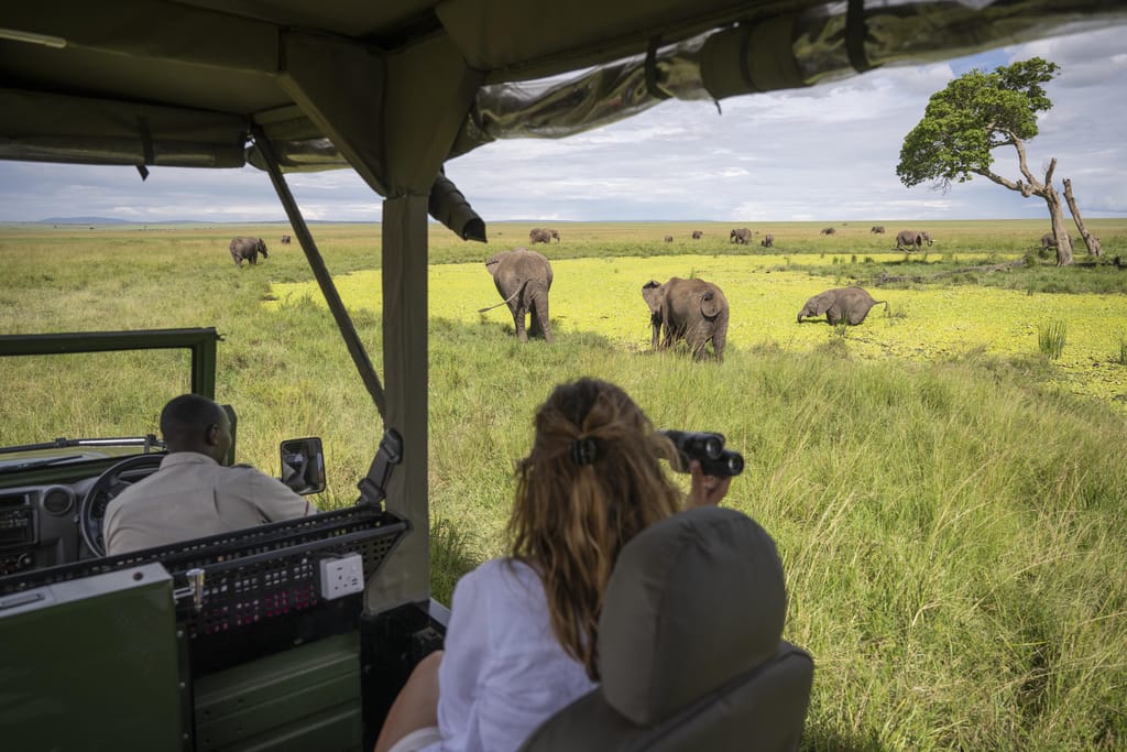 Rejseformer - Luksussafari i Afrika