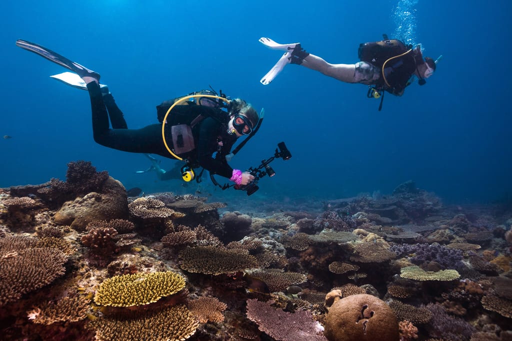 scuba diver madagascar