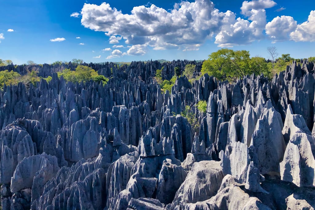 Tsingy de Barmaraha » Tembo Safari
