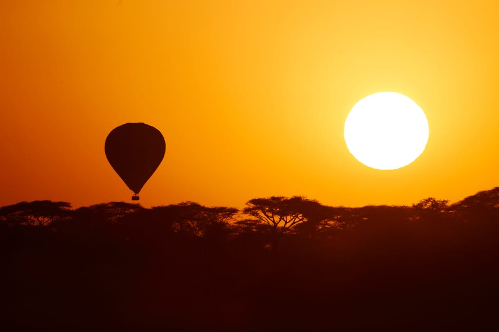 Balloon,African,Safari,At,Sunrise » Tembo Safari