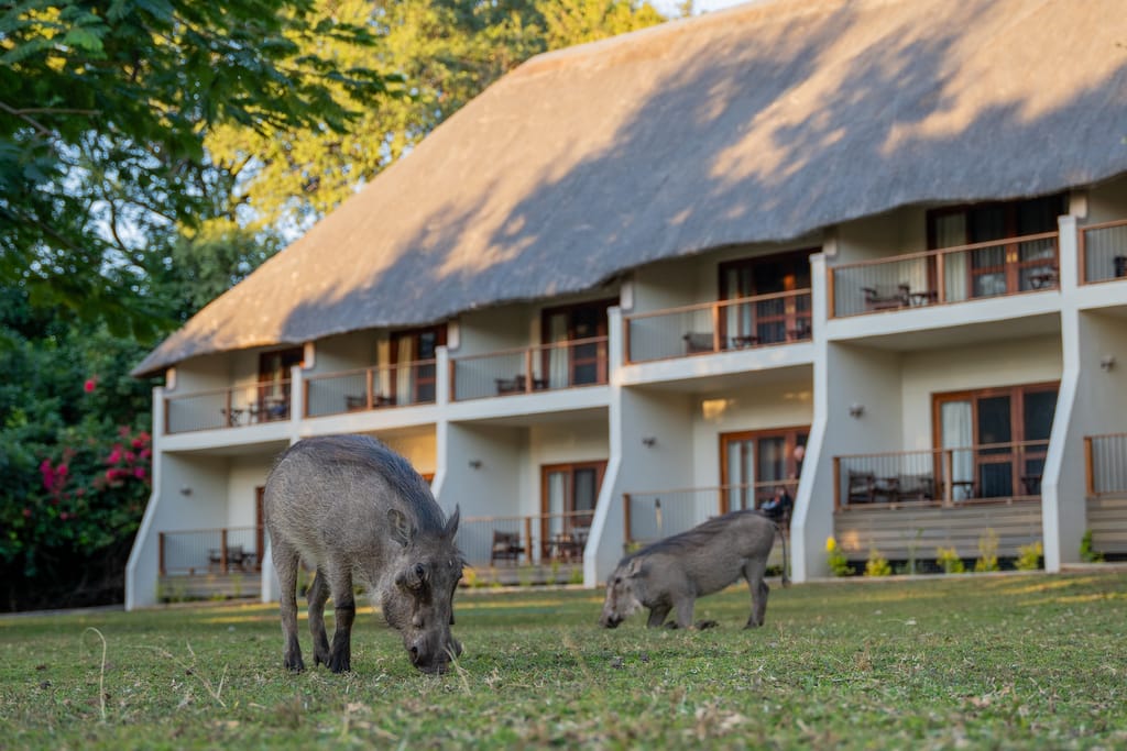 Chobe Safari Lodge