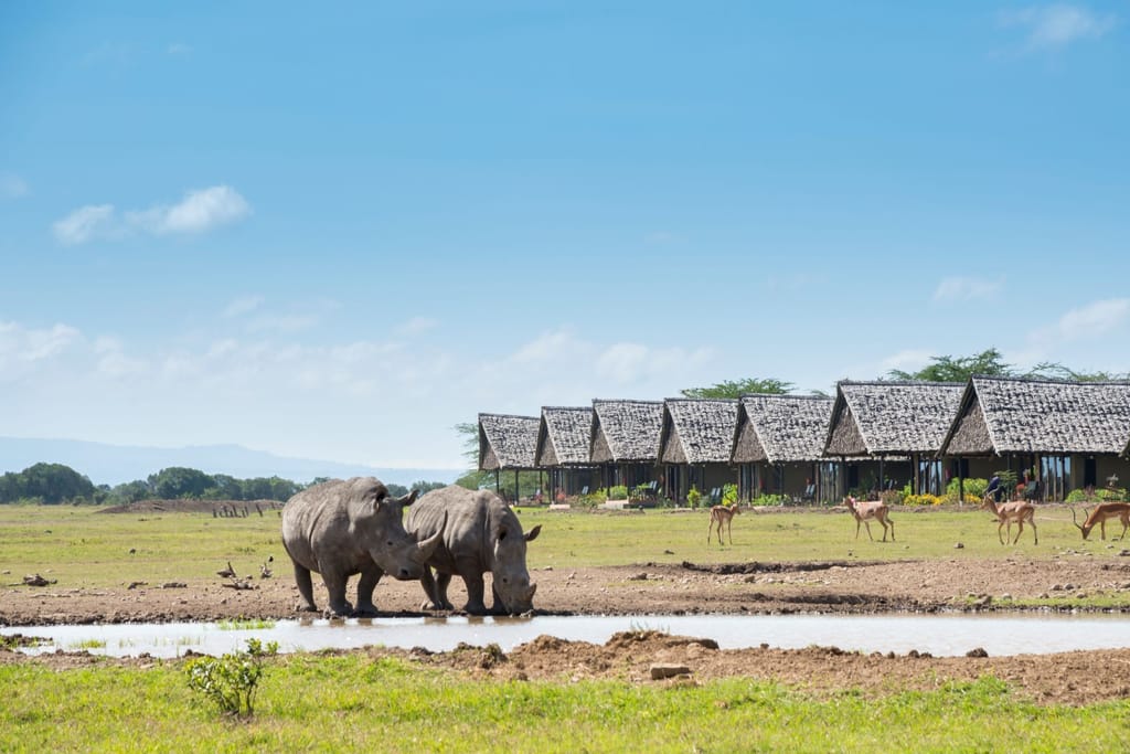 Sweetwaters Serena Camp