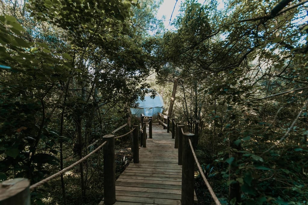 Misty Mountain Reserve